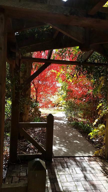 Dalrymples Guest Cottages Marysville Exteriér fotografie